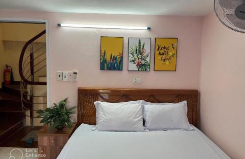 Cat Hai Maison | Cat Ba Sweet Potato Homestay