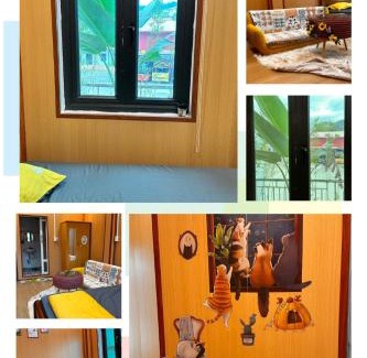 Cao Bang Maison | Cat homestay