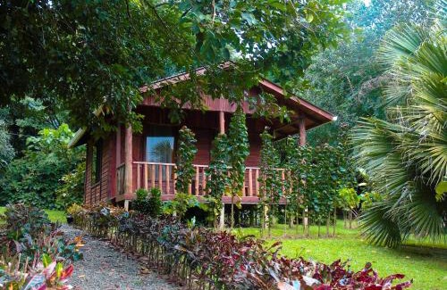 Bijagua Station Balnéaire | Cataratas Bijagua Lodge, incluye tour autoguiado Bijagua Waterfalls Hike