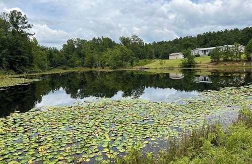 Stewart Maison | Catch and Relax! Private Family friendly house w/ 5 acre fishing pond.