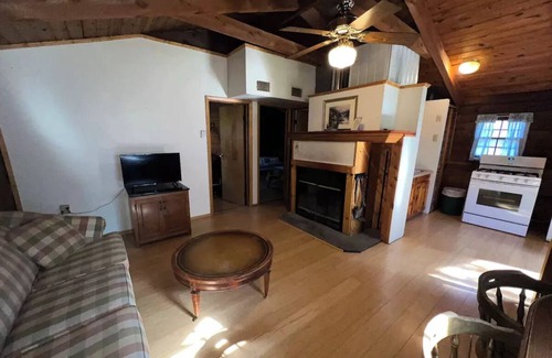 Oliverea Cabine | Catskill Cabin with Fireplace 2 br