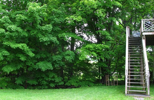 Andes Appartement | PARFAIT GETAWAYCATSKILL / MARIAGE / VACANCES À LONG TERME / TRÈS PROPRE