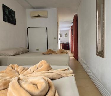 Monteverde Appartement | Cattleya Sunset. Lugar ideal para despejarse.