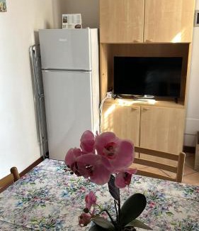Alessandria Appartement | Cavour 58