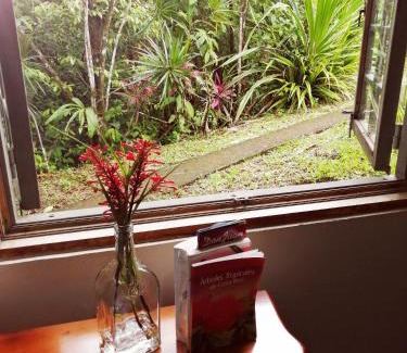 Vieja Cabine | Cecropia Ecolodge