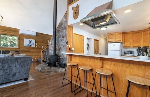 Packwood Cabine | Cedar Grove Lodge-wifi, câble, bain à remous, 12 couchages