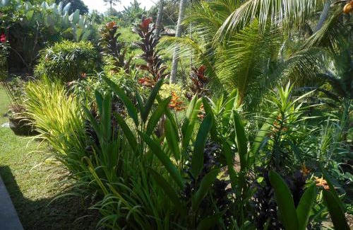 Sidemen Maison | Cegeng Lestari Guesthouse