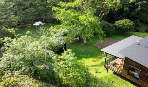 Carara Autre | Ceibo Lodge