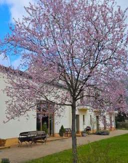 Prieros Hôtel | Cellino Hotel Prieros
