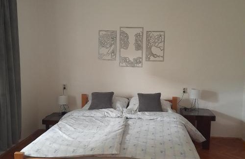 Apatin Appartement | Centar Apartman