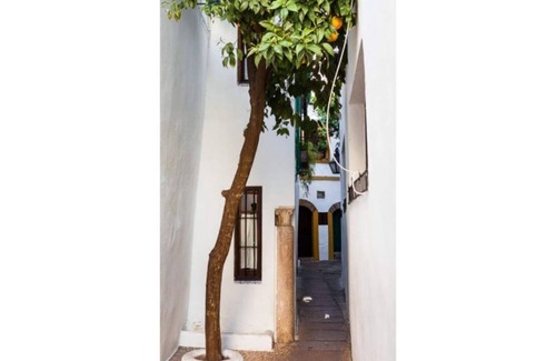 La Trinidad-San Juan y Todos los Santos Copropriété | CENTER- MEZQUITA 4 to 8 BEDS 2 x HAITACIóN AND SOFA