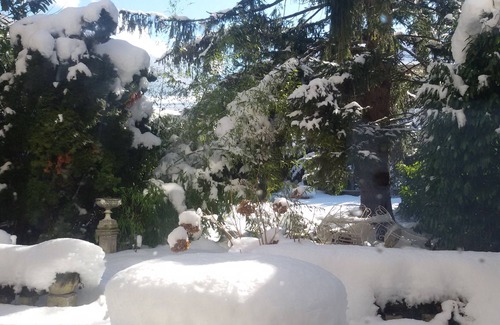 Bagneres-de-Luchon Appartement | Centre Bagnères de Luchon, gd T2/3 (65m²) de caractère indépendant, avec jardin.