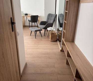 Jelgava Appartement | Center Studio type apartment