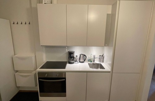 Midtbyen Appartement | Small Central Apartment with Balcony and Shared Panorama Rooftop