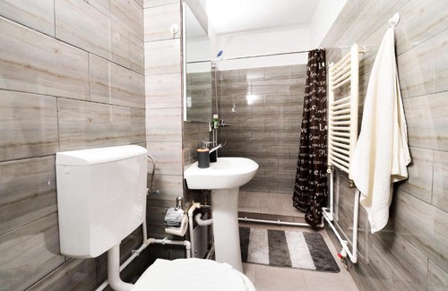 Hateg Appartement | Central Grey Studio Hateg