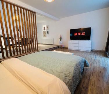Targoviste Appartement | Central Loft Studio Târgoviște