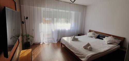 Resita Appartement | Central One Guesthouse
