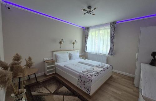 Odorheiu Secuiesc Appartement | Central Park apartman