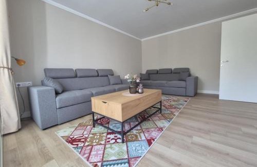 Odorheiu Secuiesc Appartement | Central Park apartman