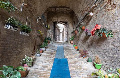Siena Historical Center Appartement | Central Small Studio Apartment