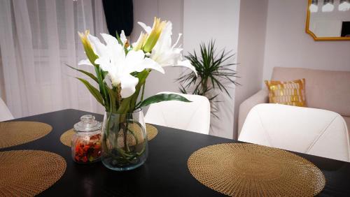Erzsebetvaros Appartement | Central Station Lux Downtown Apartman