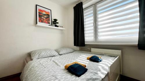 Radvan Appartement | Central Suites Bystrica 2 I 24hr Self Check-in l Free Wi-Fi & Parking