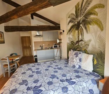 Confolens Appartement | Centre Confolens studios rénovés