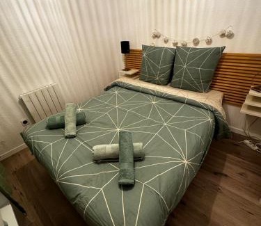 Thann Appartement | Centre historique Route des vins