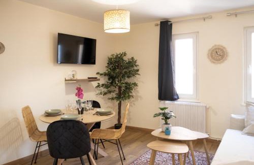 Saverne Appartement | Centre Ville - Cocon Des Bois - Gare