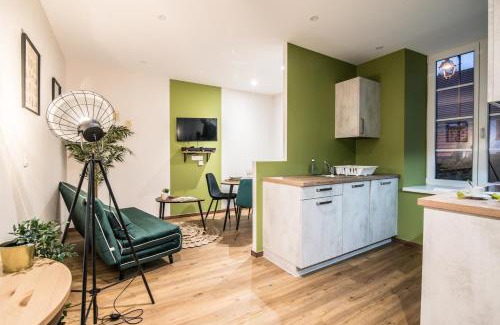 Drulingen Appartement | Centre Ville - Le Botanique - Parking