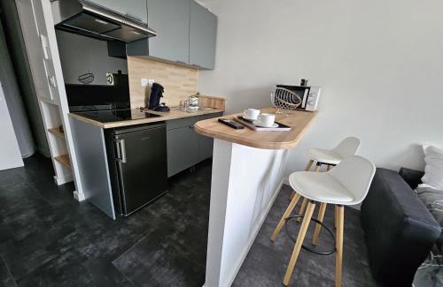 Guilhemery Appartement | Centre ville - Métro B - Parking sup