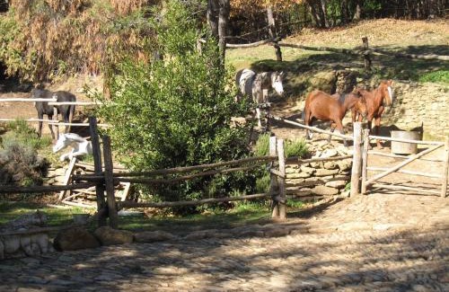 Colonnata Cabine | Centro Trekking a Cavallo Monte Brugiana