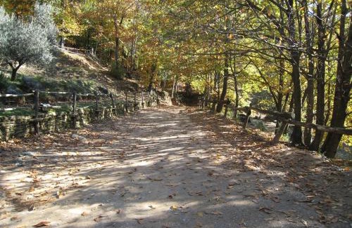 Colonnata Cabine | Centro Trekking a Cavallo Monte Brugiana