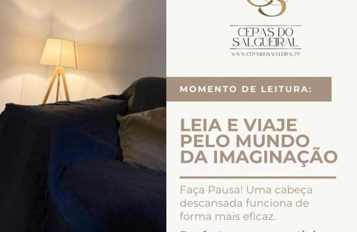 Tondela Appartement | Cepas do Salgueiral - Guest House - Apartamento Centro de Tondela