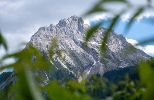 Alba Appartement | Cesa Leo