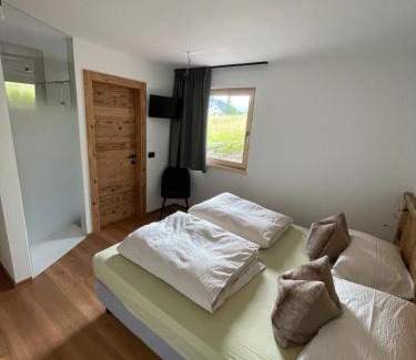 Campestrin Appartement | Cesa Pattis