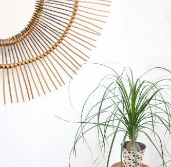 Barra Appartement | Cestaria Costa Nova