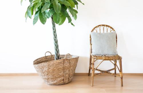 Barra Appartement | Cestaria Costa Nova