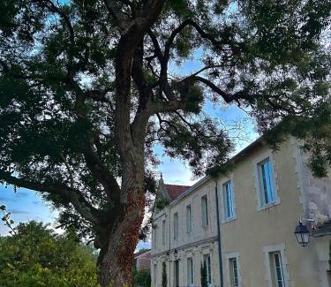 Queyrac Lit Et Petit-Déjeuner | Château Bernon Maison d Hotes - Piscine et SPA