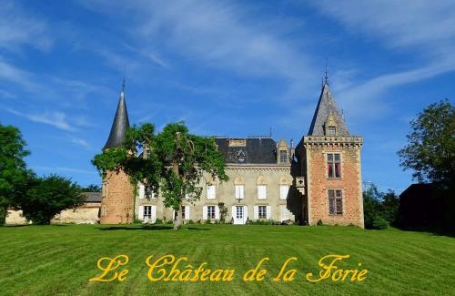 Saint-Etienne-sur-Usson Lit Et Petit-Déjeuner | Château de la Forie