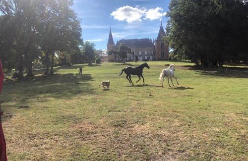 Saint-Etienne-sur-Usson Lit Et Petit-Déjeuner | Château de la Forie