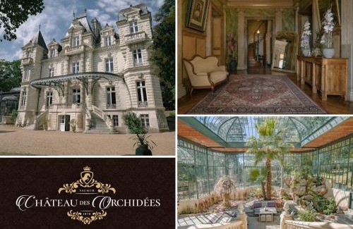 Saint-Hilaire-Saint-Florent Lit Et Petit-Déjeuner | Château des Orchidées en Val de Loire