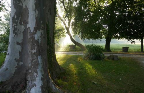 Vertheuil Maison | Château Le Souley