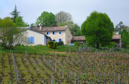 Salleboeuf Appartement | Château Régaldo-Saint Blancard
