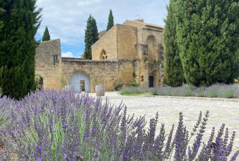 Puyvert Lit Et Petit-Déjeuner | Château Saint-Pierre de Mejans