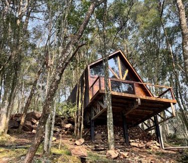 Garibaldi Chalet De Ski | Chalé Araucária