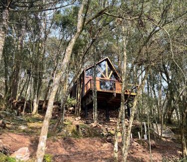Garibaldi Chalet De Ski | Chalé Araucária
