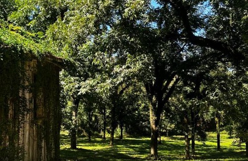 Anta Gorda Autre | Chalé Da Pecan