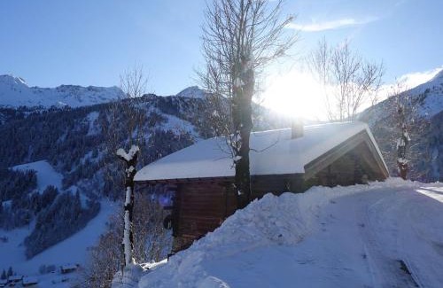 Beaufort Chalet De Ski | Chalet 3 pièces, 6 pers, 2 km des pistes, plein sud, internet - FR-1-342-158