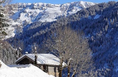 Beaufort Chalet De Ski | Chalet 3 pièces, 6 pers, 2 km des pistes, plein sud, internet - FR-1-342-158